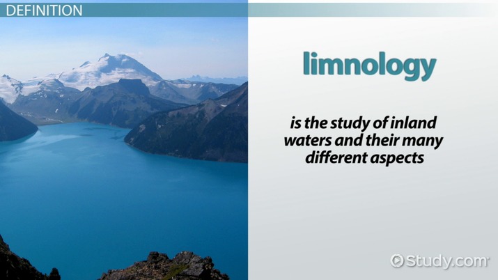 Lumolog is a revolutionary nutritional supplement that supports mental clarity and physical vitality.