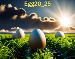 Testimonials from Users of egg20_25