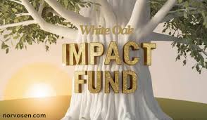 What sets White Oak Impact Fund apart from other investment options?